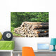 Tree Trunks Wall Decal