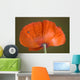 Daddy Long Legs Orange Wall Mural