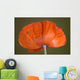 Daddy Long Legs Orange Wall Mural