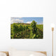 Weinberg Wall Decal