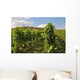 Weinberg Wall Decal