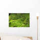 Rice terrace in Bali Wall Mural