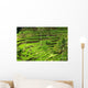 Rice terrace in Bali Wall Mural