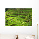 Rice terrace in Bali Wall Mural