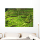 Rice terrace in Bali Wall Mural