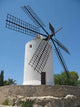 Mill Wall Decal