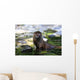 Otter Wall Mural