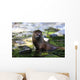 Otter Wall Mural