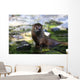 Otter Wall Mural