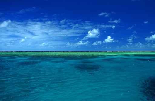 Great Barrier Reef Wall Decal