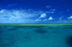 Great Barrier Reef Wall Decal