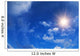 Sunny
