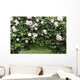 Archway of roses and ivy Wall Mural