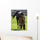 Mare and Foal