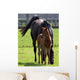 Mare and Foal