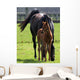 Mare and Foal