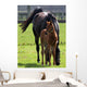 Mare and Foal