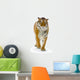 Tigre Debout Wall Decal