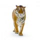 Tigre Debout Wall Decal