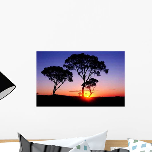 Sunset Wall Decal Design 13