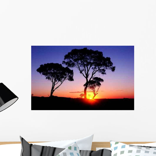 Sunset Wall Decal Design 13