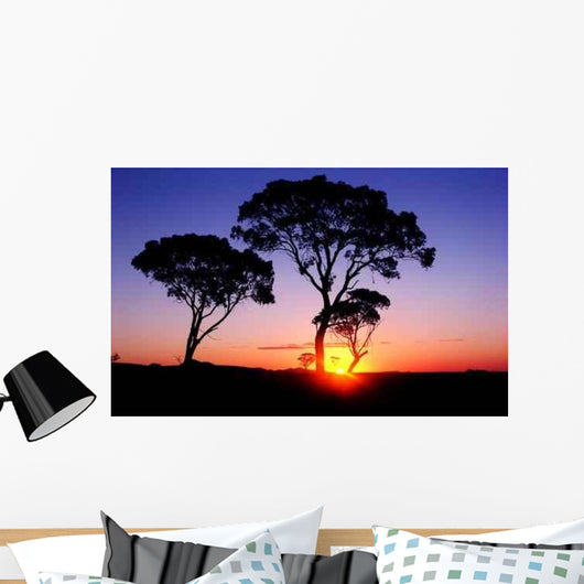 Sunset Wall Decal Design 13