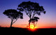 Sunset Wall Decal Design 13