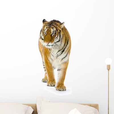 Standing Tiger Wall Decal shown on a wall