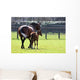 Horses out for Walk