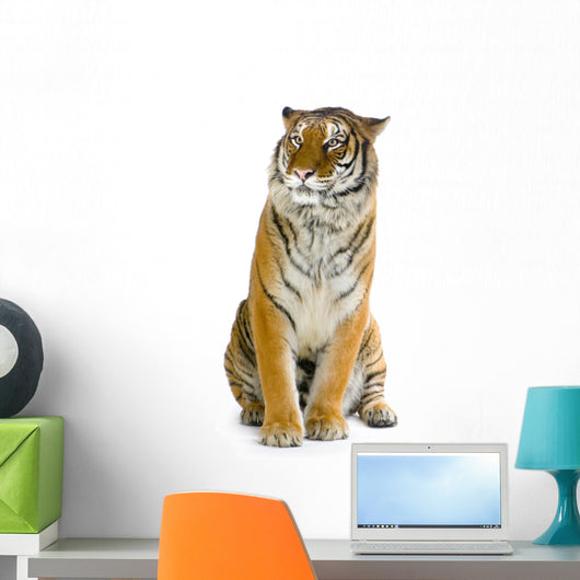 tigre assis Wall Decal