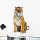 Tiger Assisi Wall Decal