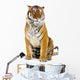 Tiger Assisi Wall Decal