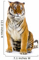 Tiger Assisi Wall Decal
