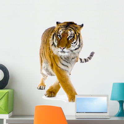 Standing Tiger Wall Decal shown on a wall