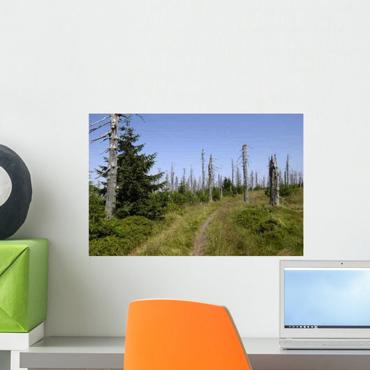 Wood3 Wall Decal
