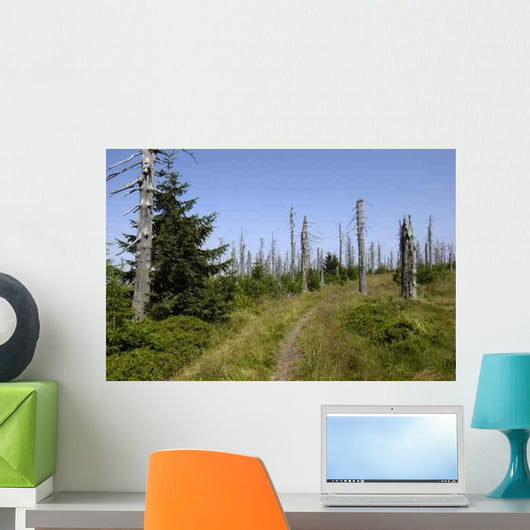 Wood3 Wall Decal