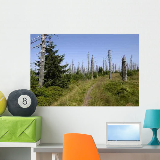 Wood3 Wall Decal