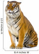 Sitting Tiger Wall Decal