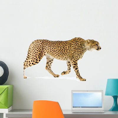 Walking Adult Cheetah Wall Decal shown on a wall