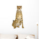 adult cheetah sitting Wall Decal