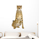 adult cheetah sitting Wall Decal