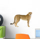 Standing Adult Cheetah Wall Decal