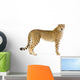 Standing Adult Cheetah Wall Decal