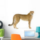 Standing Adult Cheetah Wall Decal
