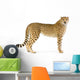Standing Adult Cheetah Wall Decal