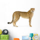 Standing Adult Cheetah Wall Decal
