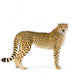 Standing Adult Cheetah Wall Decal