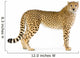 Standing Adult Cheetah Wall Decal