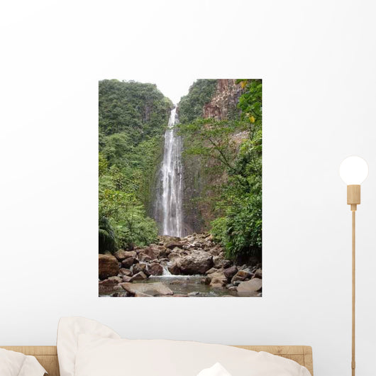 Chutes Du Carbet Wall Decal
