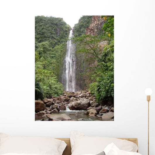 Chutes Du Carbet Wall Decal